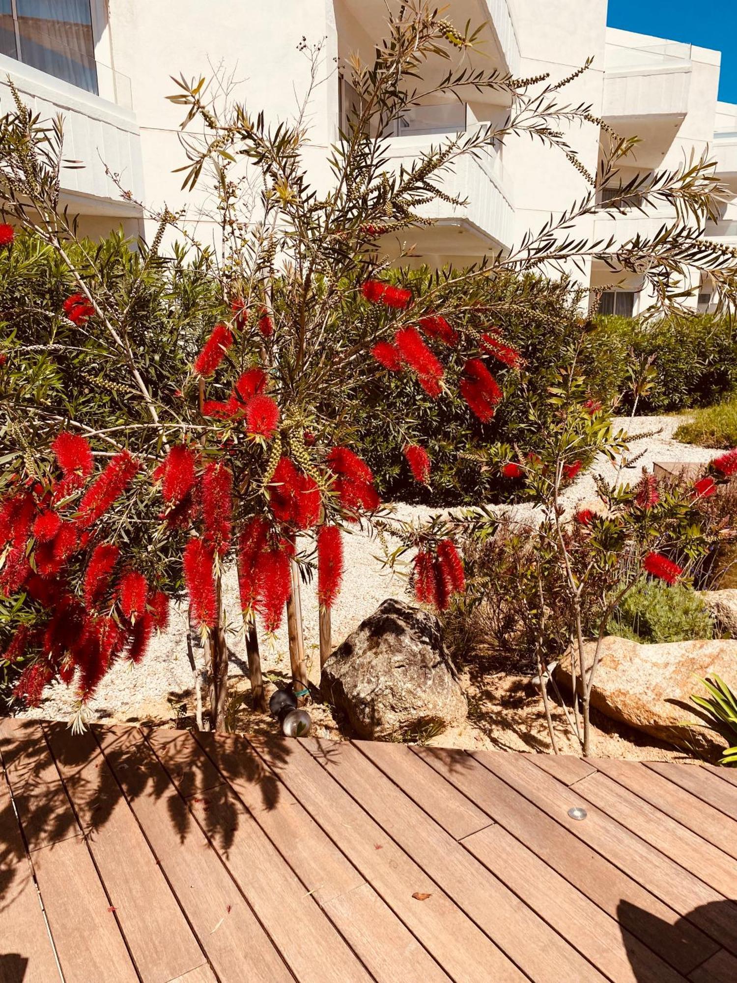 Calvi Hotel ภายนอก รูปภาพ